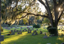 Selling Cemetery Plots in Texas: What to Know About Burial Plot Laws Old cemetery with grave stones under oak trees on green grass lawn.